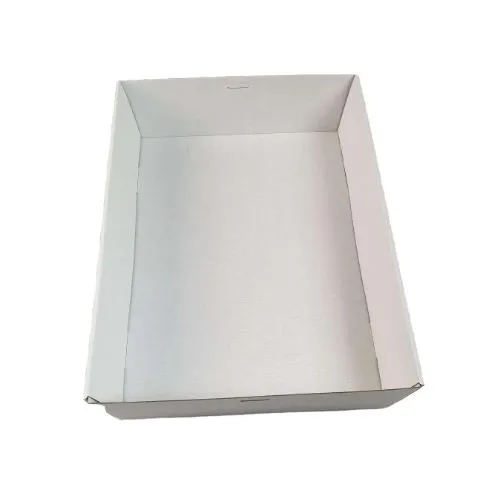 10 x White Disposable Catering Grazing Boxes Trays With Clear PET Lids
