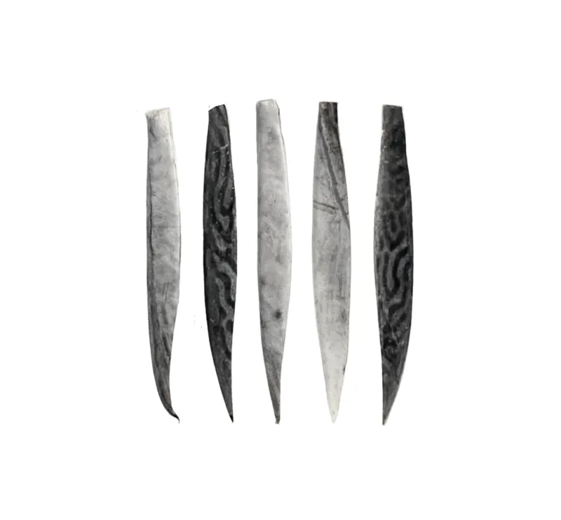 Bonito Strip Bundle - Regular