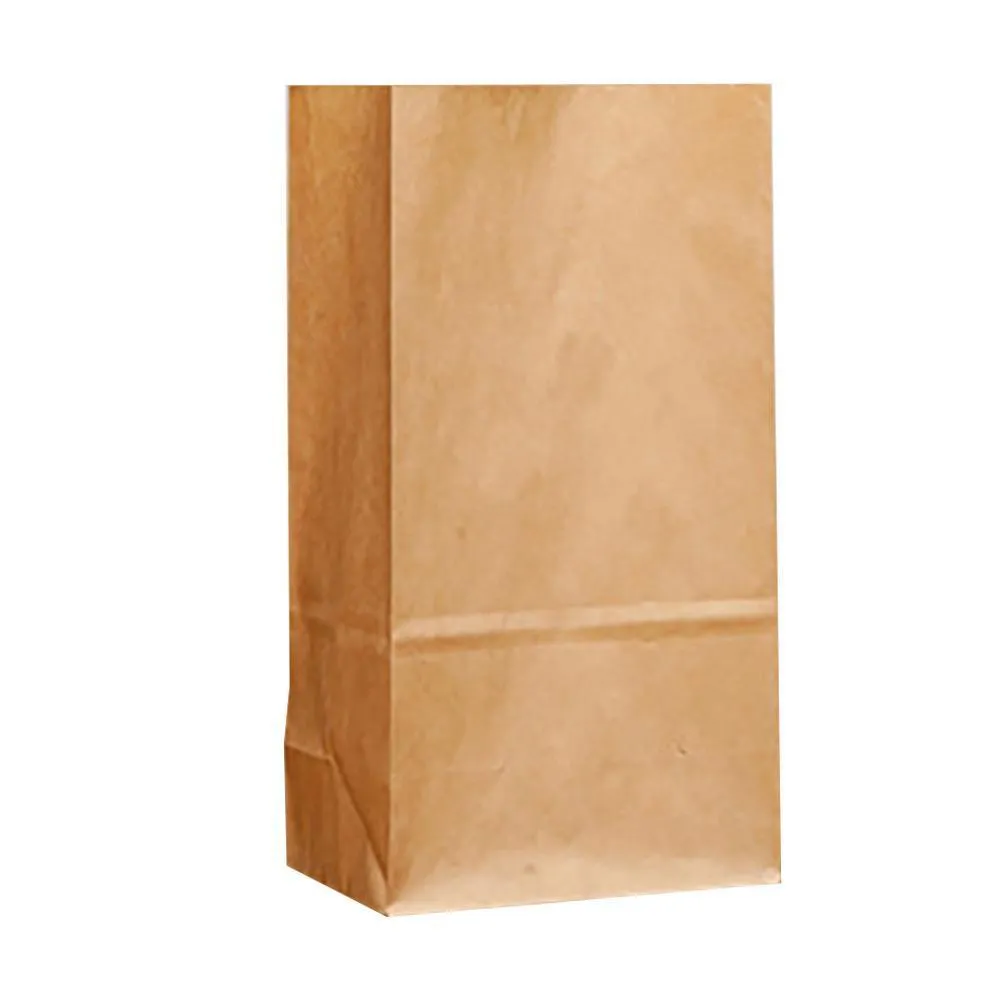 Brown Kraft Paper Grocery Bags 10-100PCS 6Sizes