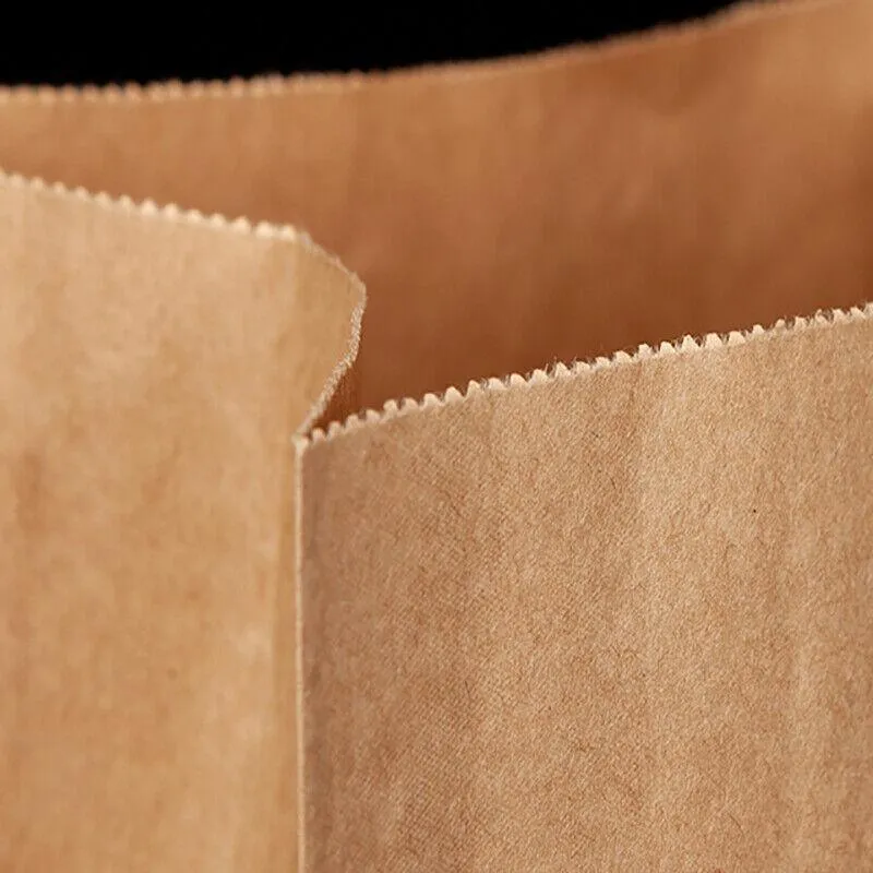 Brown Kraft Paper Grocery Bags 10-100PCS 6Sizes