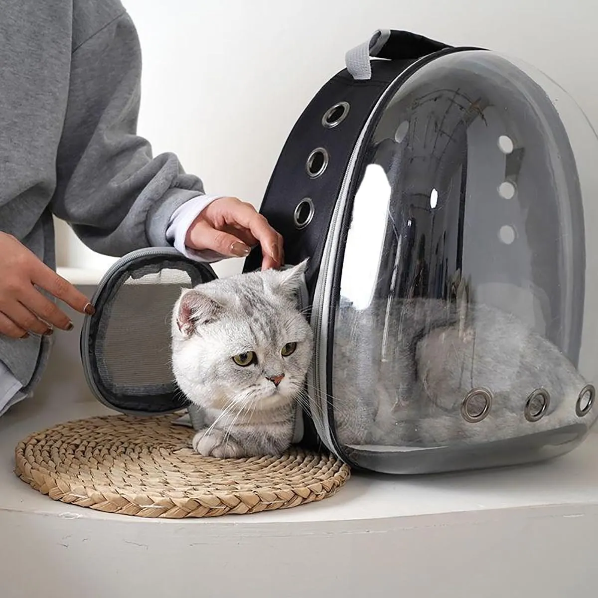 Cat Backpack Carrier Bubble Expandable Foldable Breathable Pet Carrier Dog Carrier Backpack for Large Big Cats Hiking, Travelling, Camping (Back Expandable-Black)