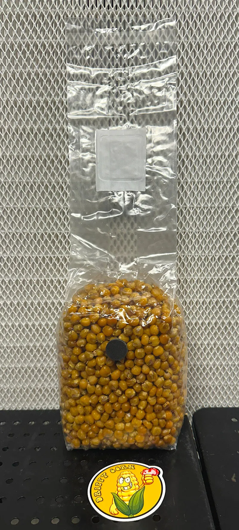 Drippy Corn Mushroom Grain Spawn