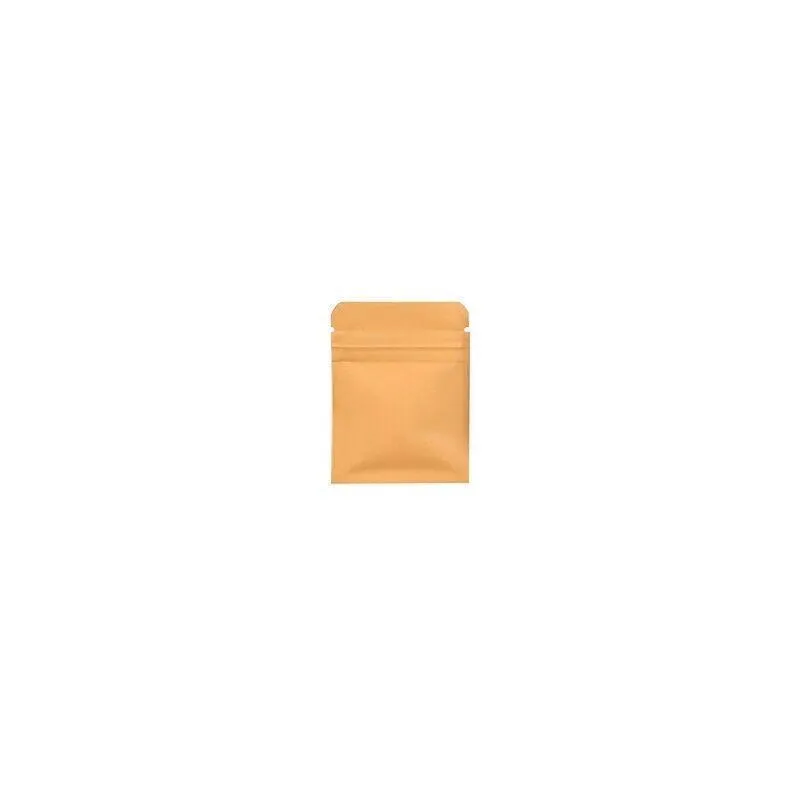 Kraft Paper Self-Sealing Tear Notch Bags 250PCS 6Sizes