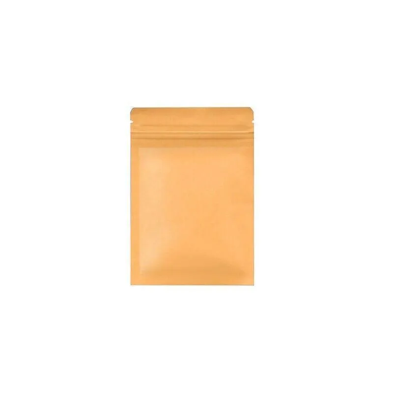 Kraft Paper Self-Sealing Tear Notch Bags 250PCS 6Sizes
