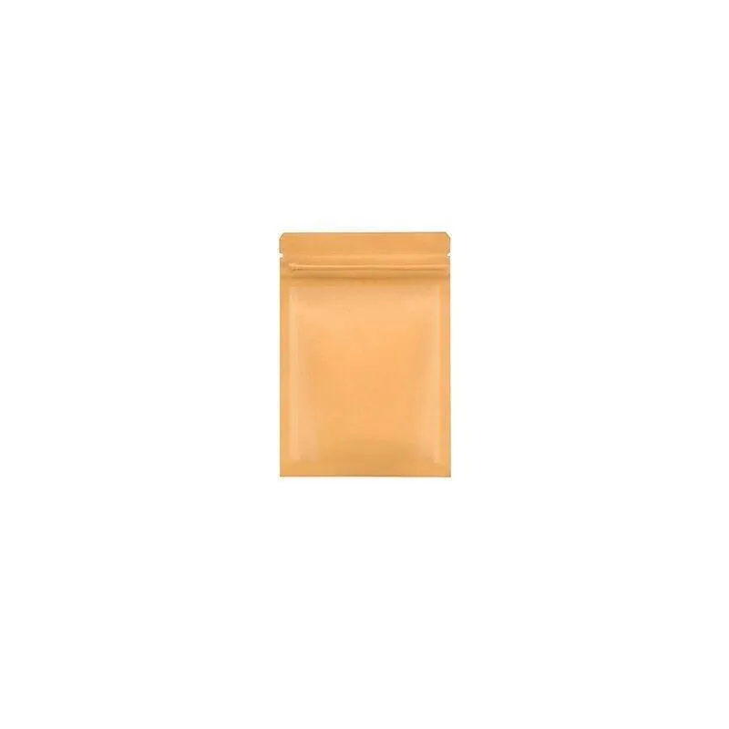 Kraft Paper Self-Sealing Tear Notch Bags 250PCS 6Sizes
