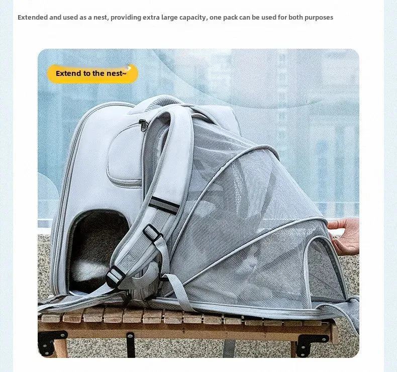 Pet Backpack Expandable Foldable Cat Carrier for Small Medium Dog and Cat Transport Dog Bag Large Space Pets Carrier with Zipper