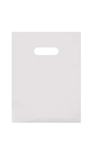 SSWBasics Small Clear Frosted Plastic Merchandise Bags - 9' x 12' - Case of 250 - Durable, Stylish, Clear Frosted Plastic Gift Bags with Handles