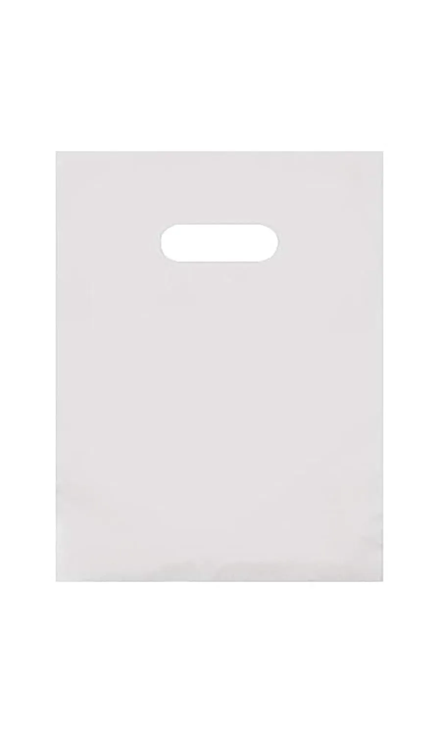SSWBasics Small Clear Frosted Plastic Merchandise Bags - 9' x 12' - Case of 250 - Durable, Stylish, Clear Frosted Plastic Gift Bags with Handles