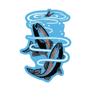 TROUT by Ketsol - 2.5 x 3"